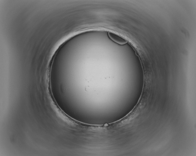 X0000112501526200908171258