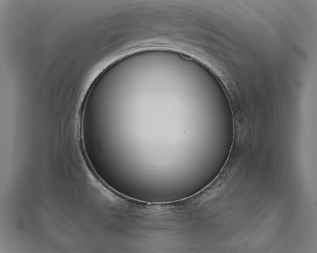 X0000112501527200908171258