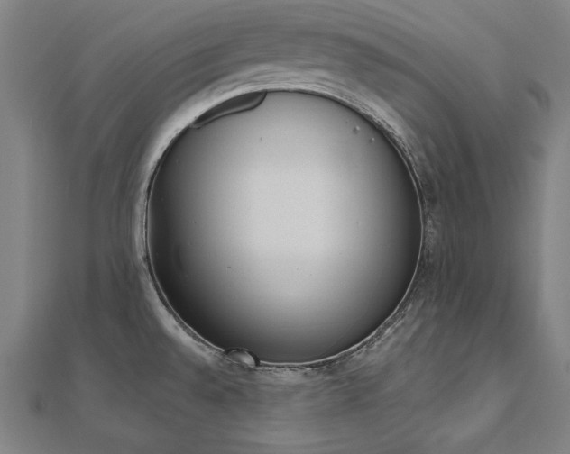X0000112501528200908171258