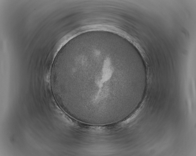 X0000112501529200908171258