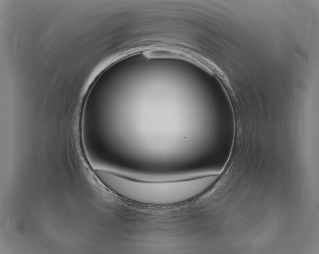 X0000112501530200908171258