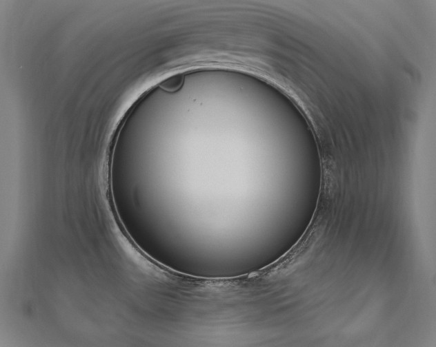 X0000112501531200908171258