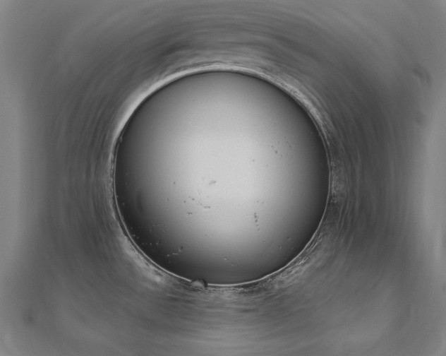 X0000112501532200908171258