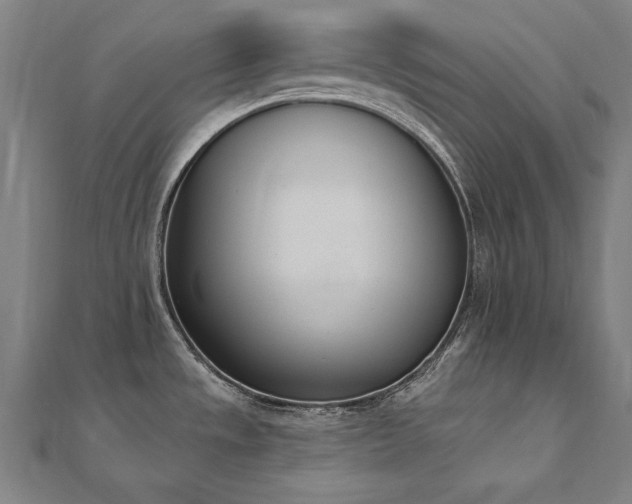 X0000112501533200908171258