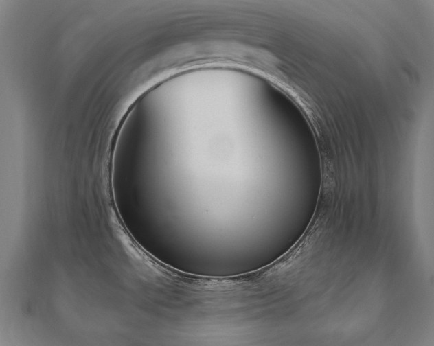 X0000112501534200908171258