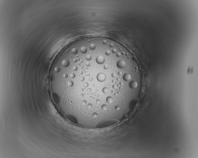 X0000112500002200908241400