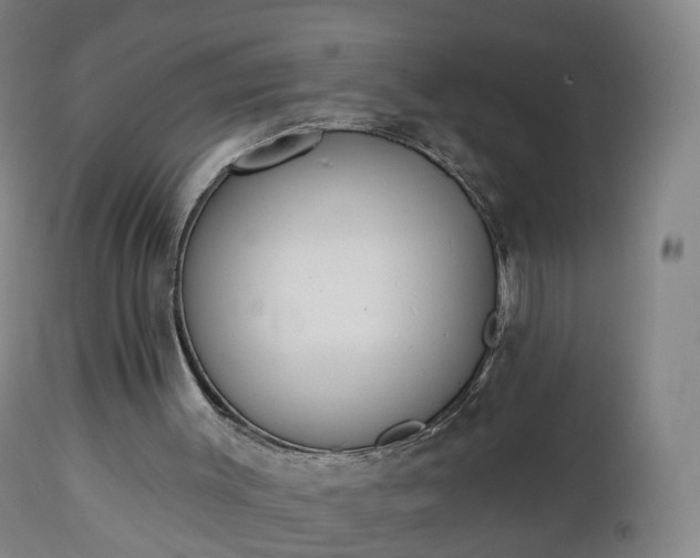 X0000112500003200908241400