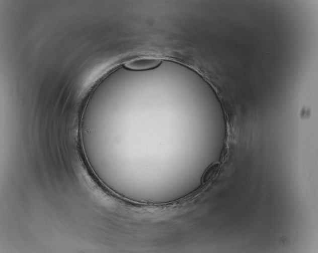 X0000112500005200908241400