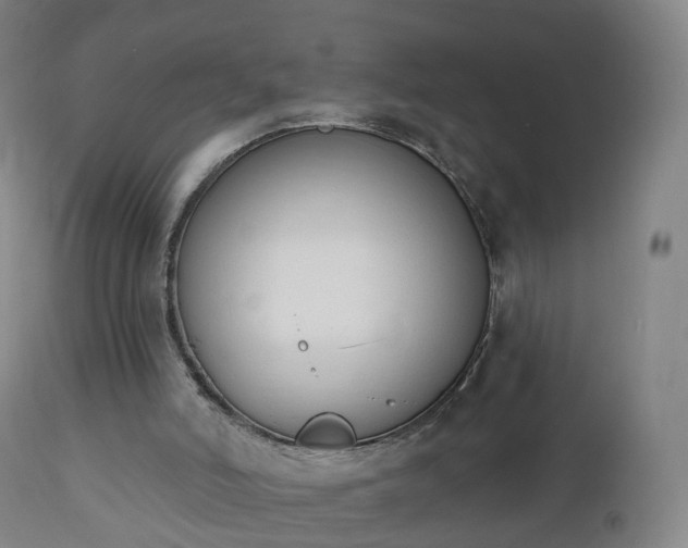 X0000112500006200908241400