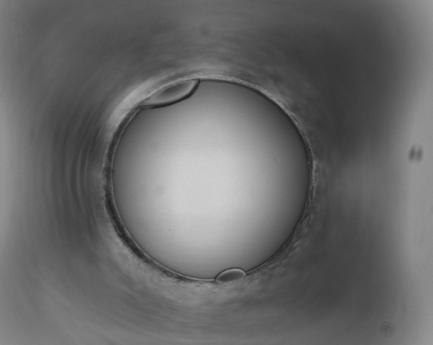 X0000112500007200908241400