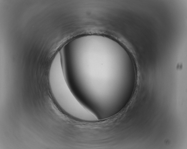 X0000112500009200908241400