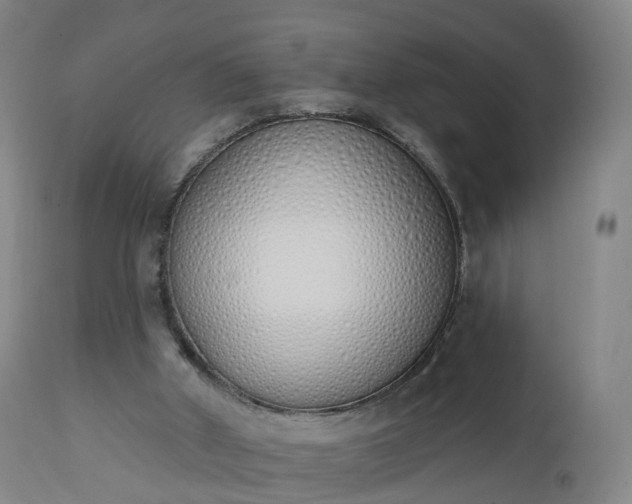 X0000112500010200908241400