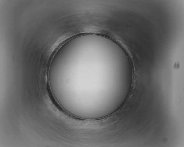 X0000112500011200908241400