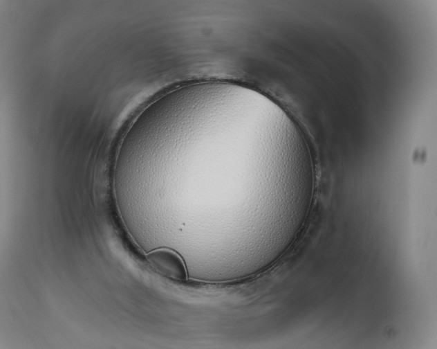 X0000112500012200908241400