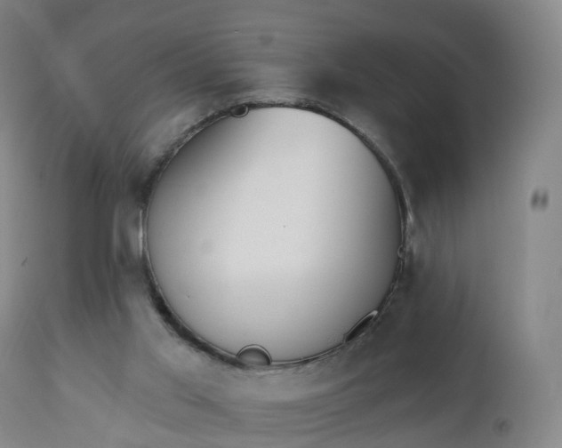 X0000112500013200908241400