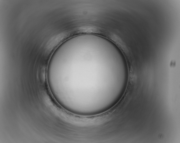 X0000112500014200908241400