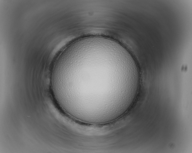 X0000112500016200908241400