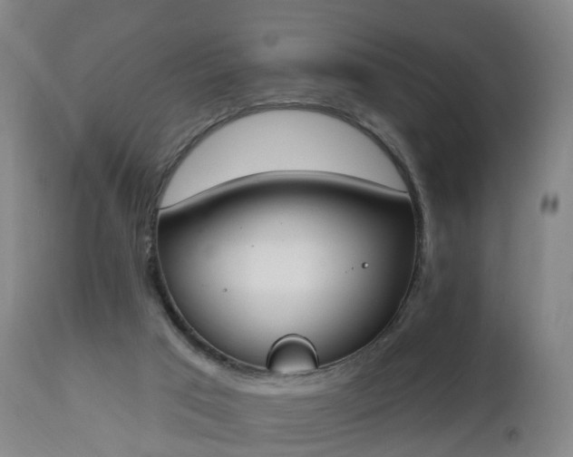 X0000112500017200908241400