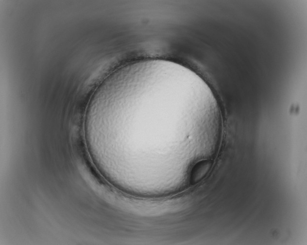 X0000112500018200908241400