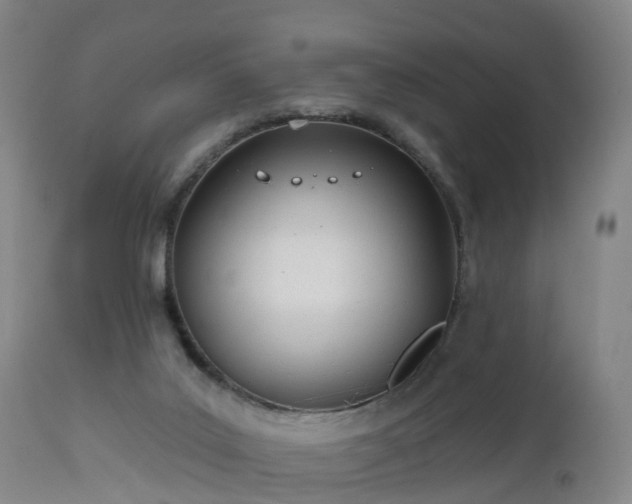 X0000112500019200908241400