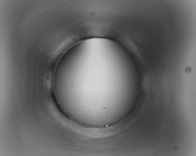 X0000112500023200908241400