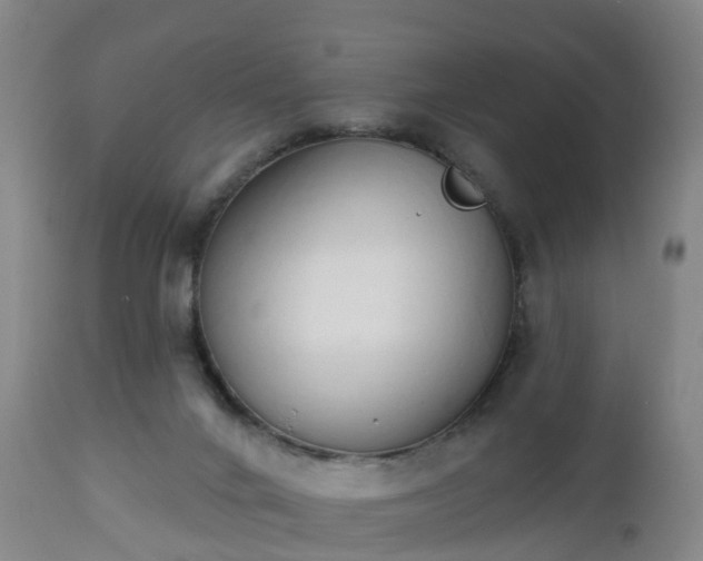 X0000112500024200908241400