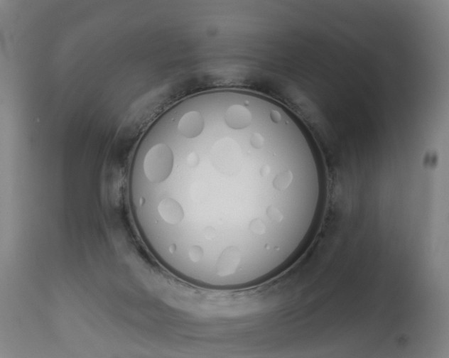 X0000112500026200908241400