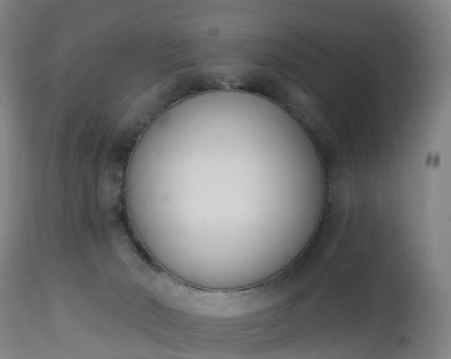 X0000112500030200908241400