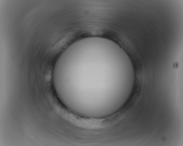 X0000112500032200908241400