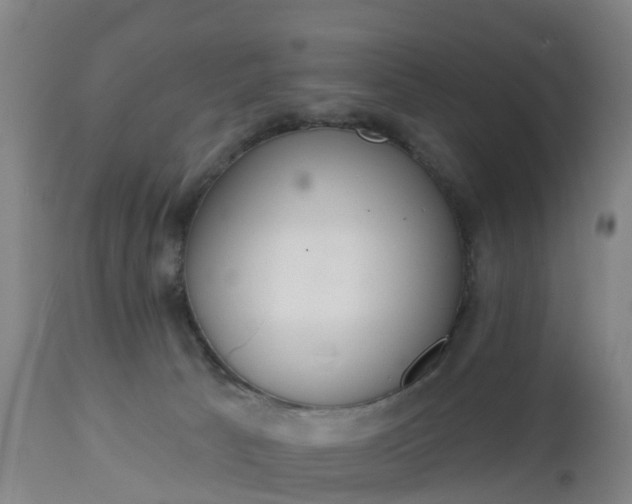 X0000112500033200908241400