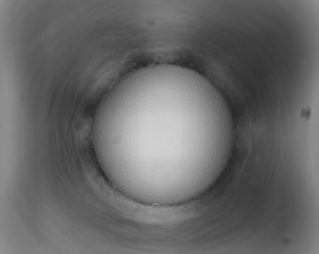 X0000112500034200908241400