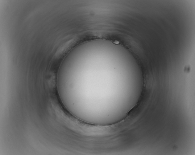 X0000112500036200908241400