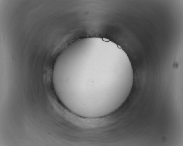 X0000112500038200908241400