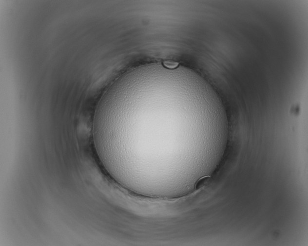 X0000112500040200908241400