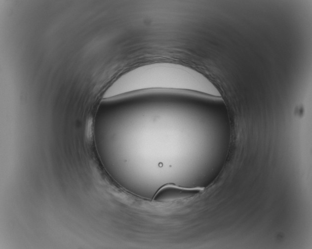 X0000112500041200908241400