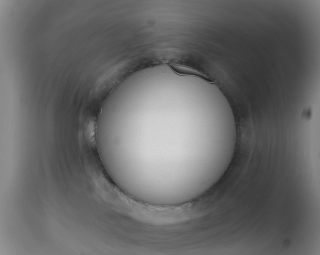 X0000112500042200908241400