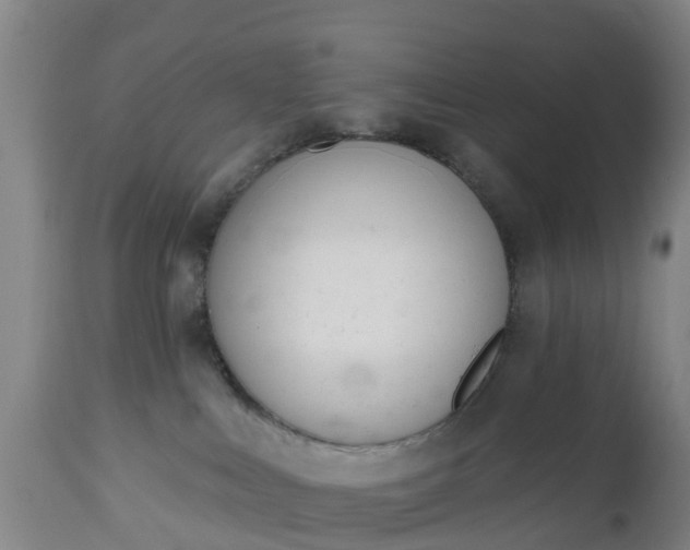 X0000112500043200908241400