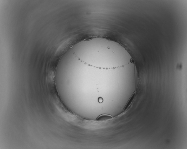 X0000112500045200908241400