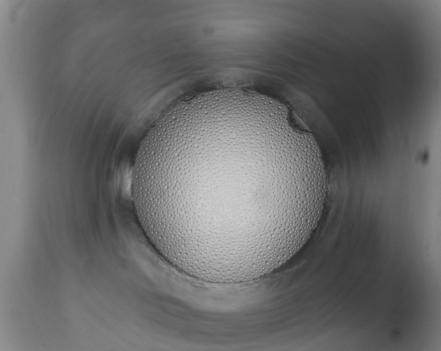 X0000112500046200908241400