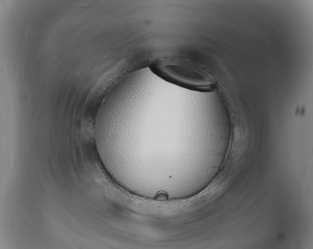 X0000112500048200908241400