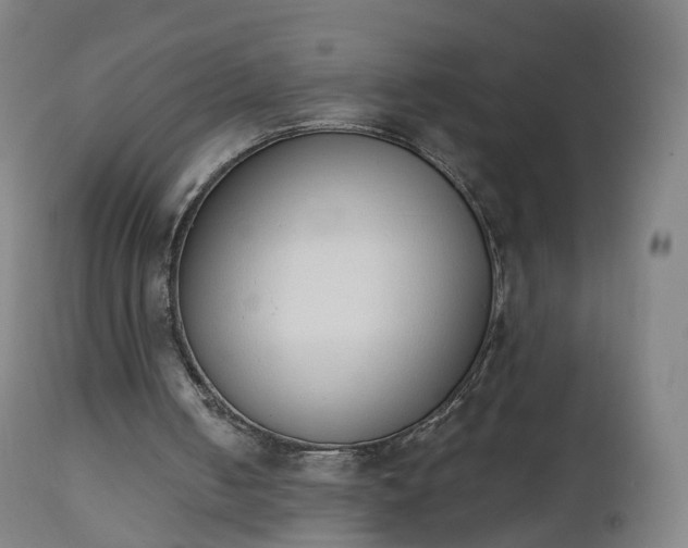 X0000112500050200908241359