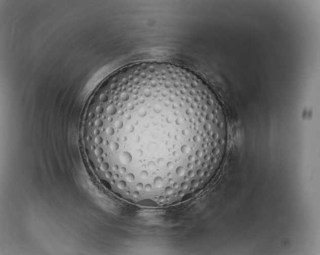 X0000112500051200908241359