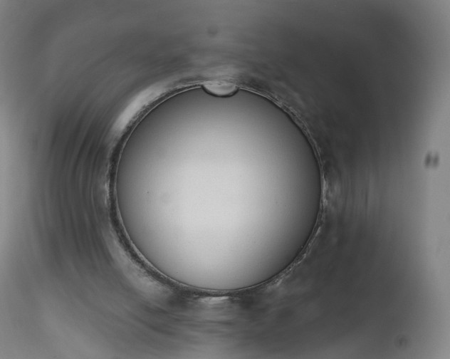 X0000112500054200908241359