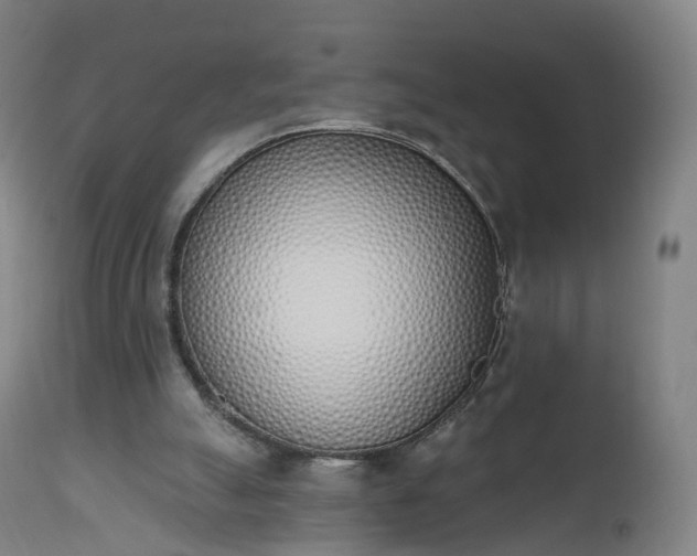 X0000112500055200908241359