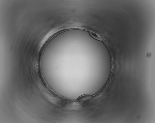 X0000112500056200908241359