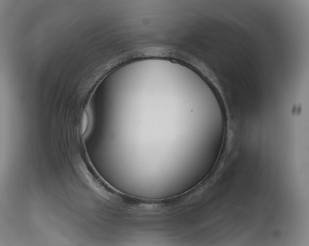 X0000112500057200908241359