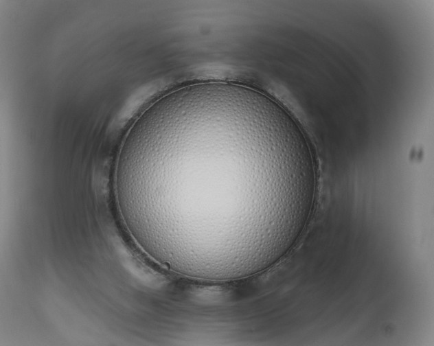 X0000112500058200908241359