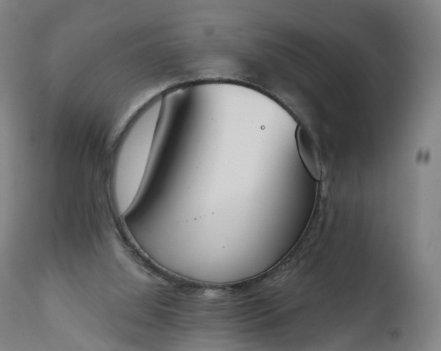 X0000112500060200908241359