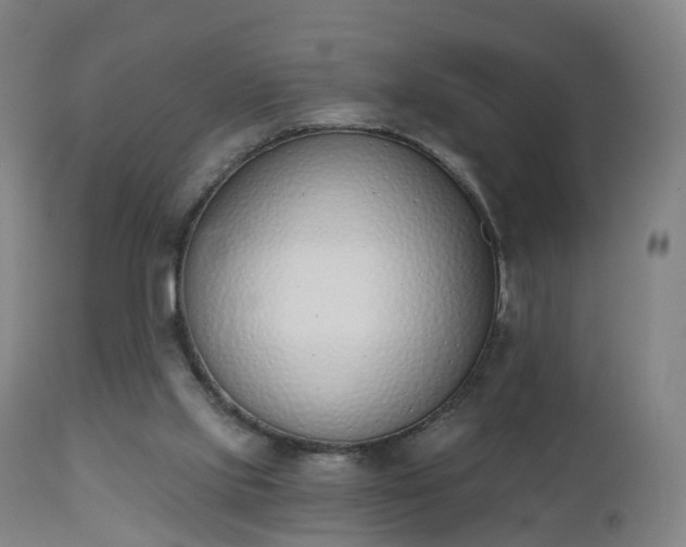 X0000112500061200908241359