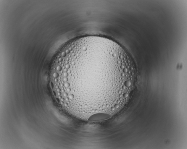 X0000112500063200908241359